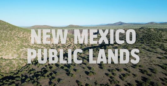 Celebrating the Public Lands Rule: A New Era for Conservation in New Mexico