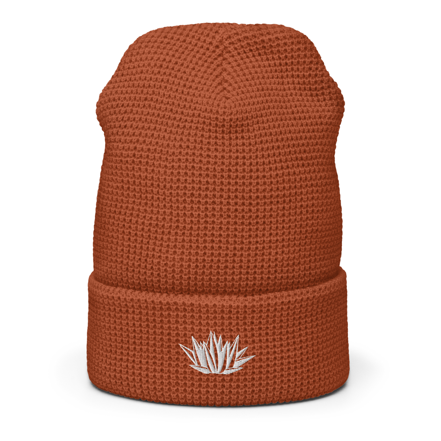 Agave Waffle Beanie