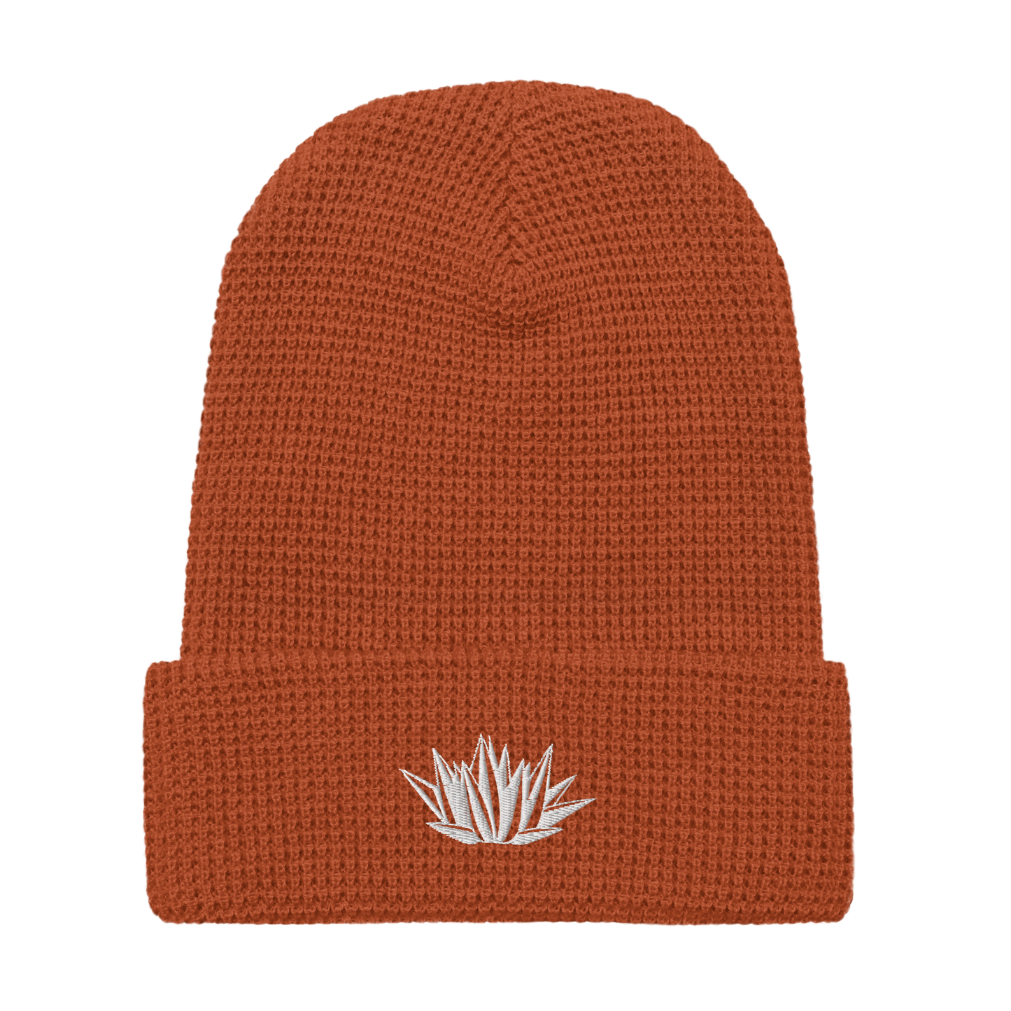 Agave Waffle Beanie